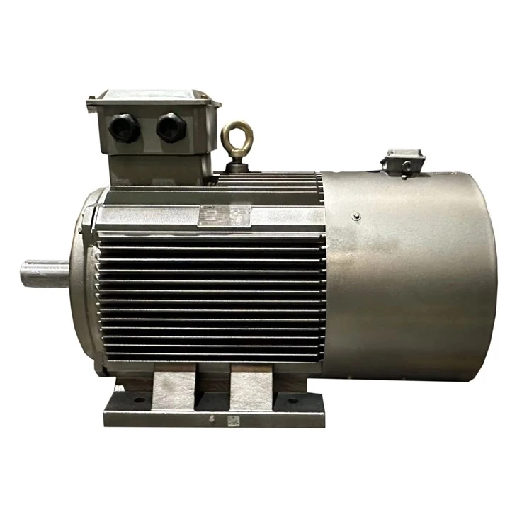 75kW Single Squirrel Cage Induction Motor suppliers